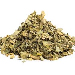 MORINGA LEVÉL - gyógynövény