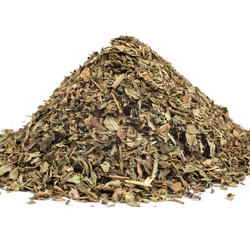 BAZSALIKOM LEVÉL (Ocimum basilicum)
