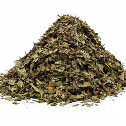 PITYPANG LEVÉL (Taraxacum officinale) - gyógynövény
