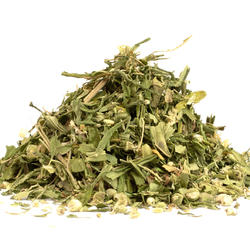 ZÚZOTT KENDER LEVÉL SANTICA - CBG 940 mg/kg